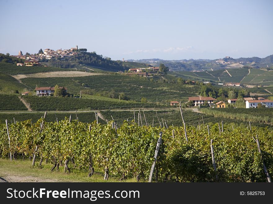 Hillside In Piemonte