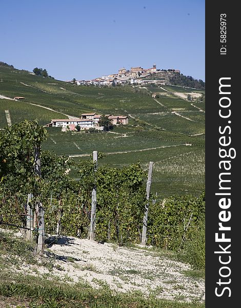 Hillside In Piemonte