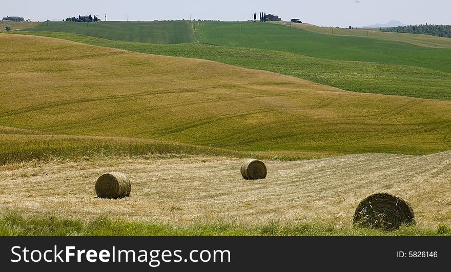 A italian hillside in summer