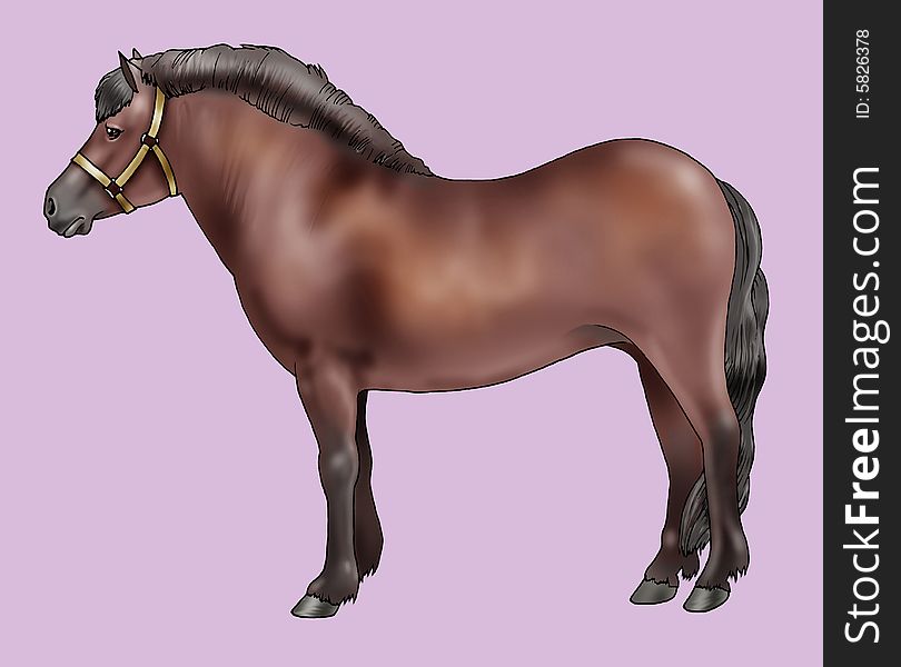 Pony Breeds: Bardigiano