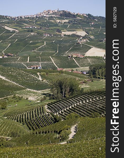 A italian hillside with view of village. A italian hillside with view of village