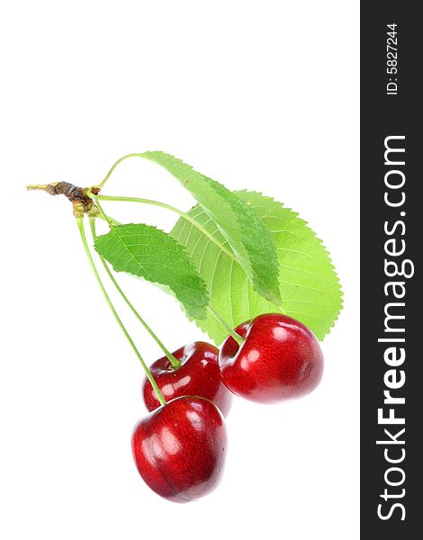 Three cherries with leafs on a white background. Three cherries with leafs on a white background.