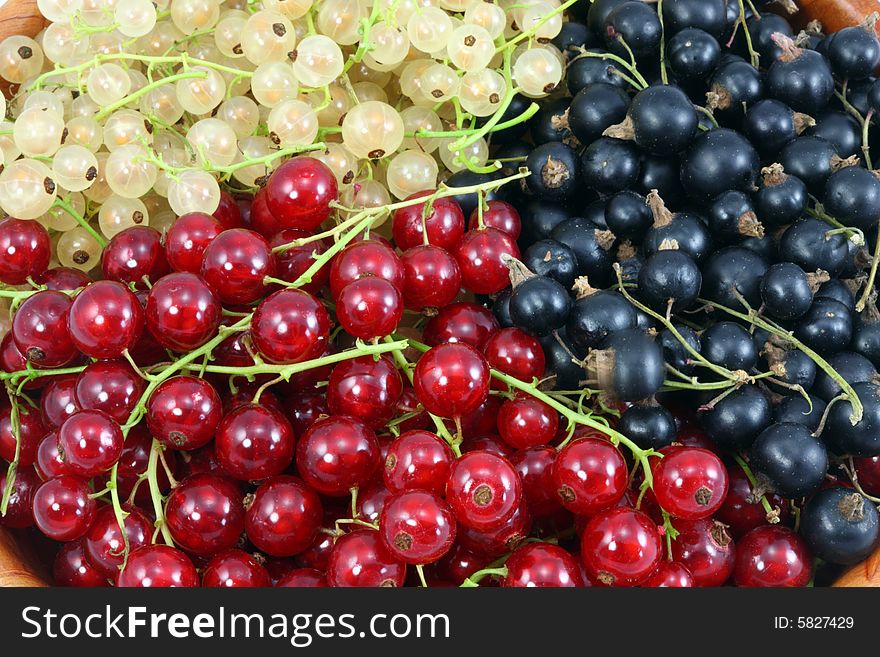 Background of ripe summer currants. Background of ripe summer currants.