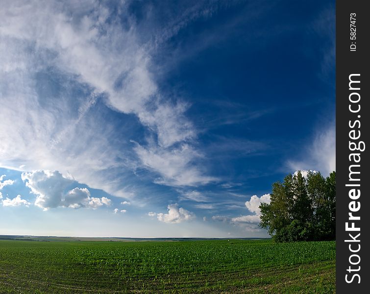 Landscape with summer meadow blue sky and clouds. Landscape with summer meadow blue sky and clouds