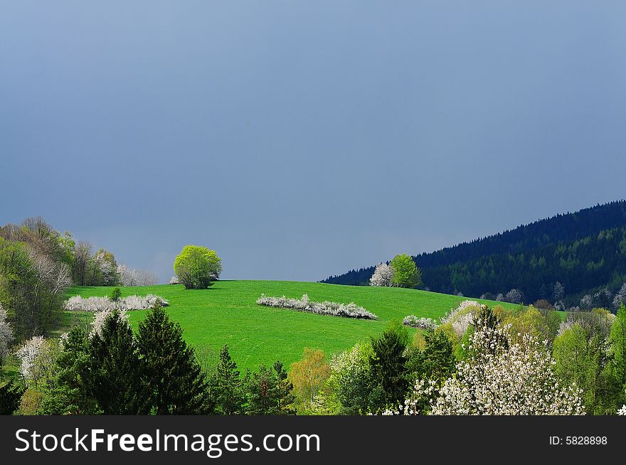 Hill in Wallachia in spring