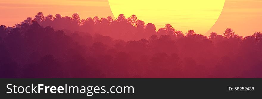 Sunset behind trees