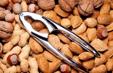 Mixed Nuts Royalty Free Stock Photo Mixed Nuts Royalty Free Stock Photo