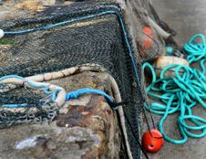 Drying Fishing Nets Royalty Free Stock Photography