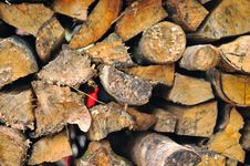 Firewood II Royalty Free Stock Image