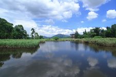 Free Wetland Stock Image - 5836271