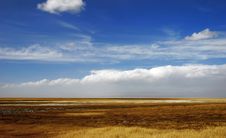 Golden Yellow Prairie And Blue Color Sky In Autumn Stock Image Golden Yellow Prairie And Blue Color Sky In Autumn Stock Image