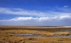 Golden Yellow Prairie And Blue Color Sky In Autumn Royalty Free Stock Photo Golden Yellow Prairie And Blue Color Sky In Autumn Royalty Free Stock Photo