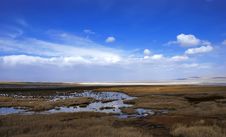 Golden Yellow Prairie And Blue Color Sky Royalty Free Stock Images Golden Yellow Prairie And Blue Color Sky Royalty Free Stock Images