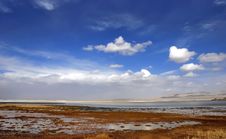 Golden Yellow Prairie And Blue Color Sky In Autumn Royalty Free Stock Photos Golden Yellow Prairie And Blue Color Sky In Autumn Royalty Free Stock Photos