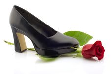 Elegant Black Shoe And A Red Rose, Isolated Royalty Free Stock Photos