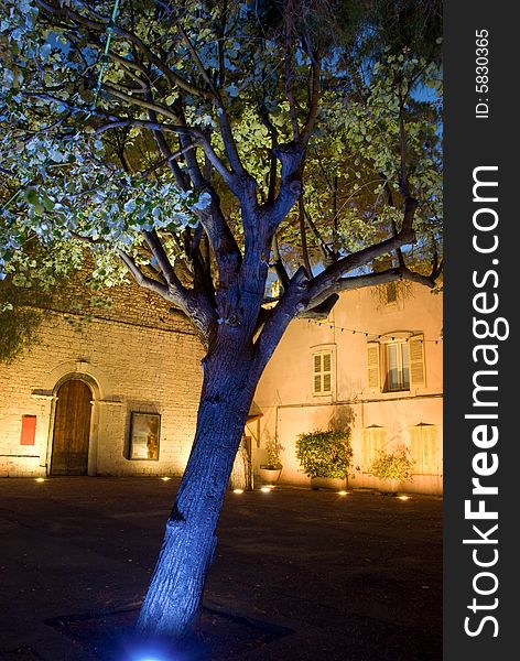 Tree surrounded by blue light in front of medieval bulding. Tree surrounded by blue light in front of medieval bulding