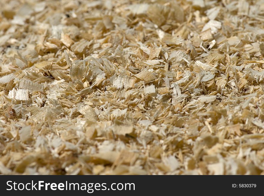 A pile of wooden chips produced by the chain saw. Origin - eastern softwoods - fir and spruce. A pile of wooden chips produced by the chain saw. Origin - eastern softwoods - fir and spruce.