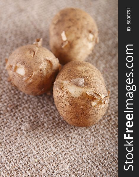 Three white new potatoes on brown hessian rustic background, shallow DOF