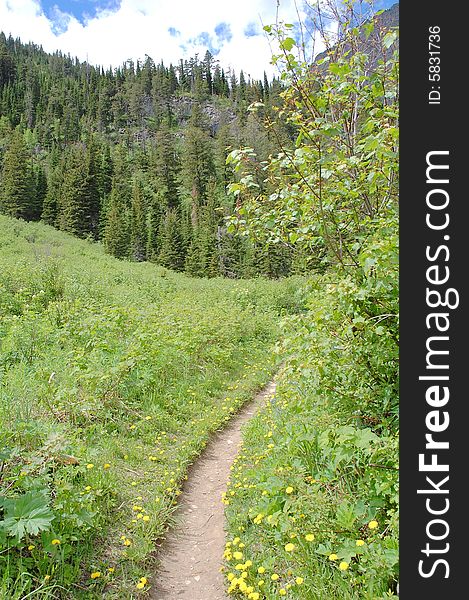 An alpine hiking trail in waterton lake national park, canada