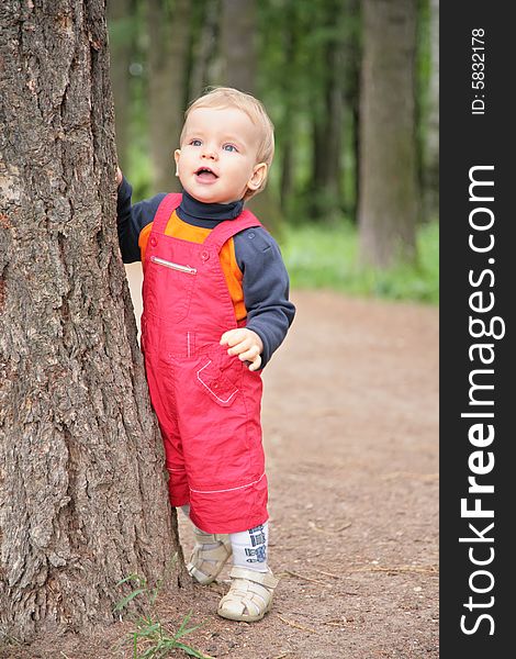 Child Keeps For Tree In Park