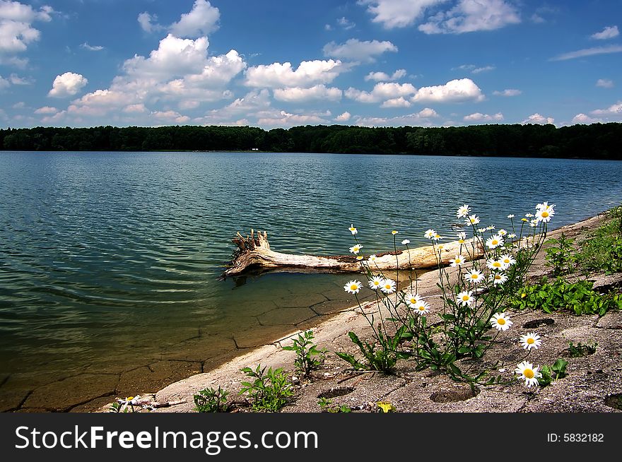 Dam Terlicko,water reservoir,Wood in water,