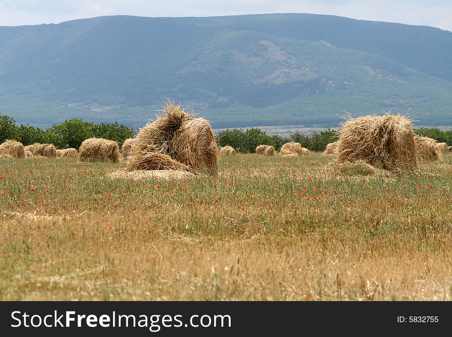 Field with stacks of straw on mountain background. Field with stacks of straw on mountain background