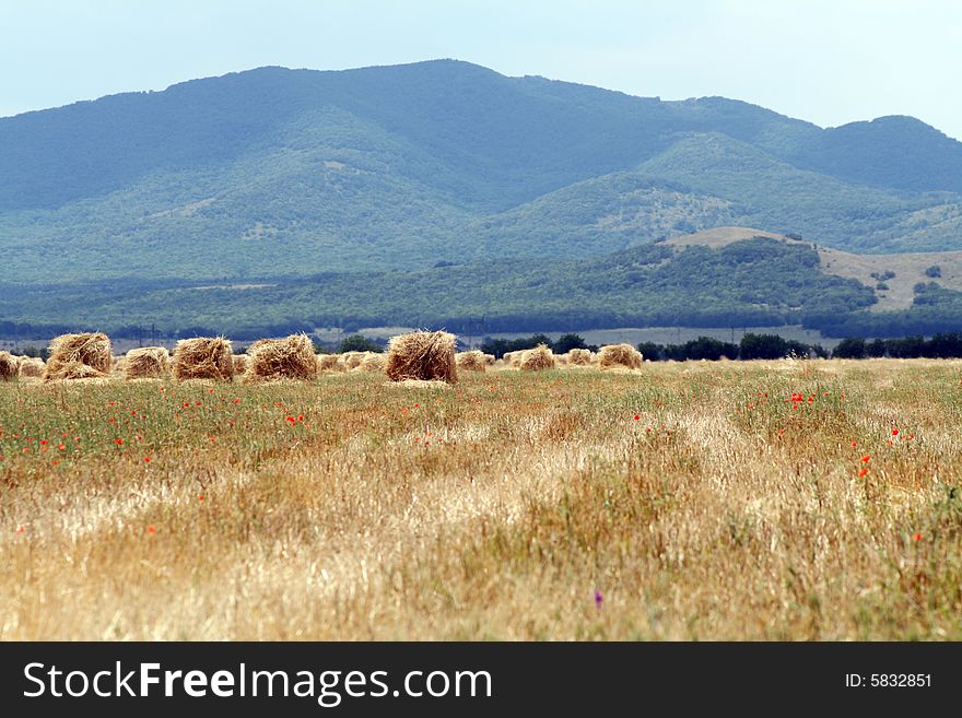 Field with stacks of straw on mountain background. Field with stacks of straw on mountain background