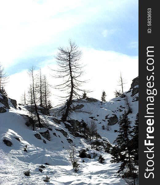 Madonna Di Campiglio