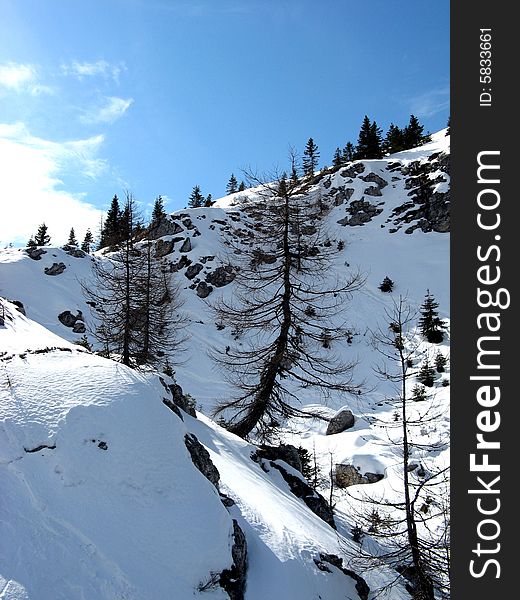 Long and beautiful ski run. Long and beautiful ski run