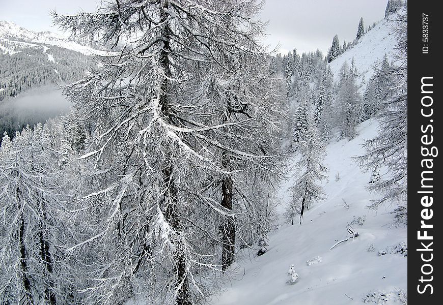 Madonna di campiglio