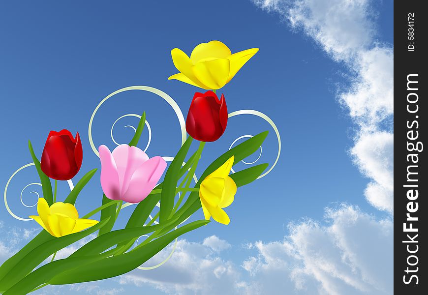 Beautiful flowers on the Blue sky and white clouds