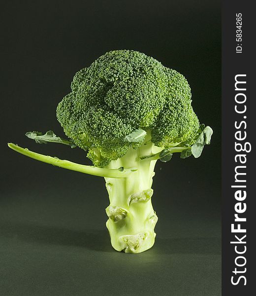 Broccoli isolated on black background