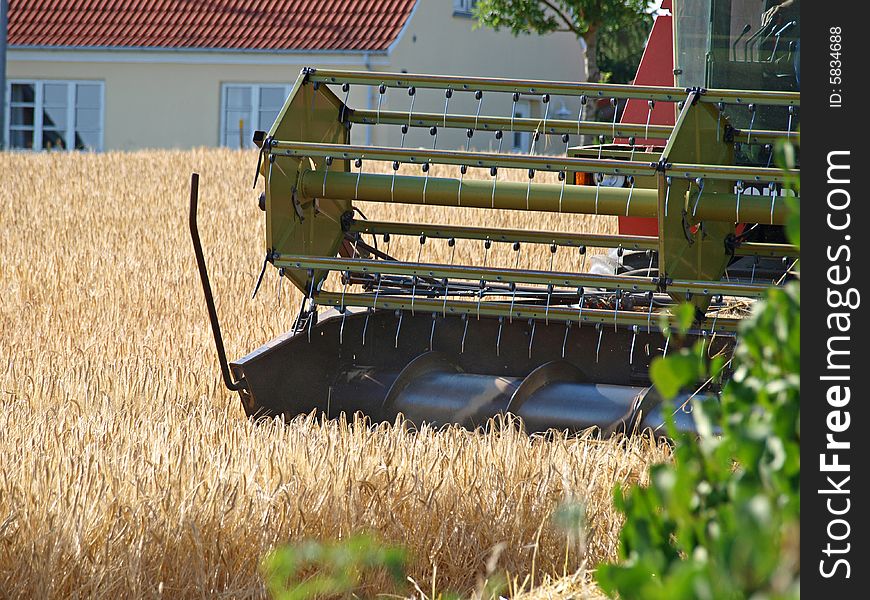 Big Combine in a wheat field in harvest time. Big Combine in a wheat field in harvest time