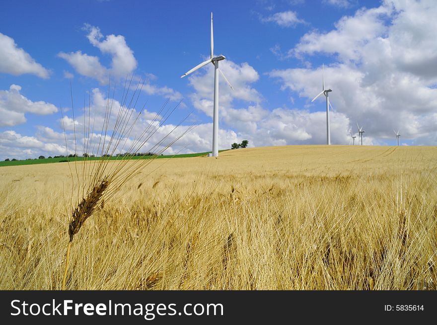Barley in summer with several wind-farm