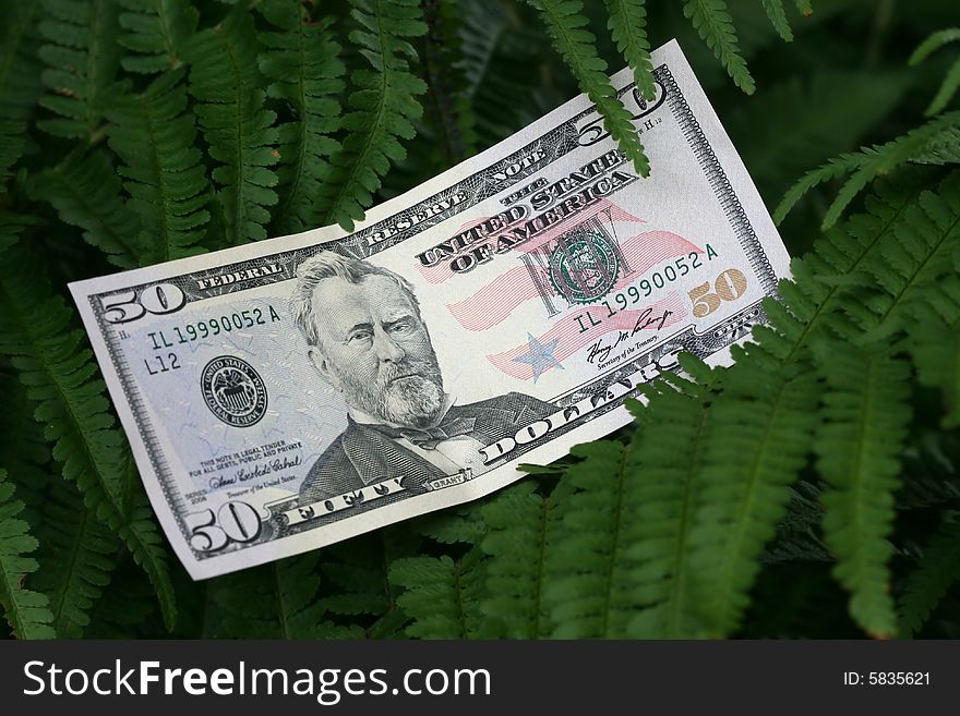 Fifty dollar banknote in the park. Fifty dollar banknote in the park