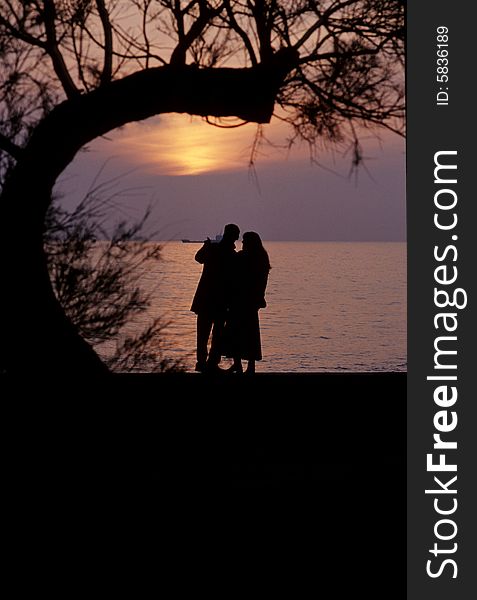 A man and a woman look together the sea sunset under a tree. A man and a woman look together the sea sunset under a tree