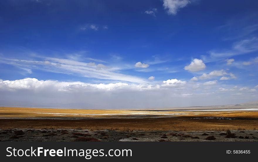 Golden yellow prairie and blue color sky in autumn