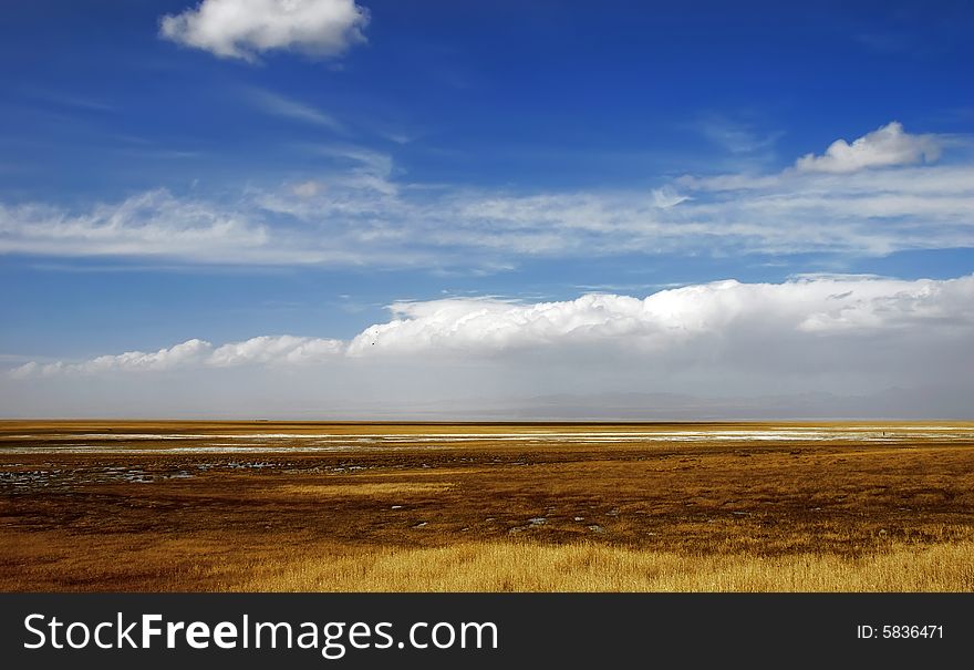 Golden yellow prairie and blue color sky in autumn