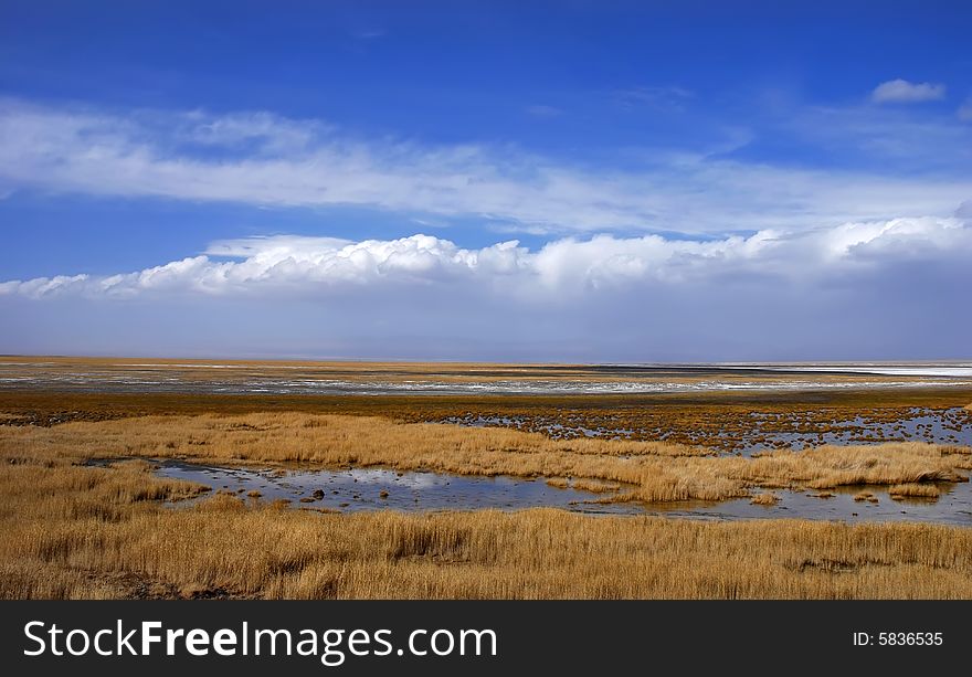 Golden Yellow Prairie And Blue Color Sky In Autumn