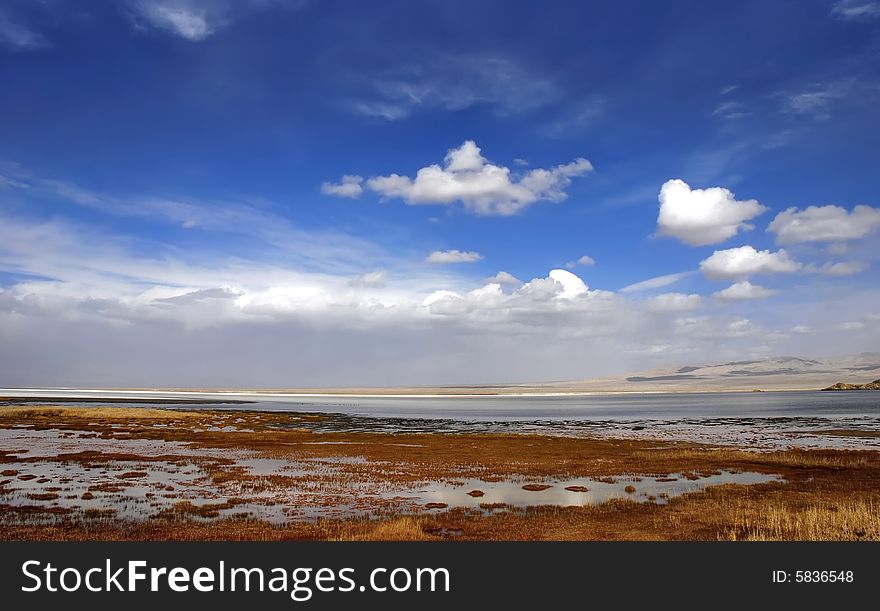 Golden Yellow Prairie And Blue Color Sky In Autumn