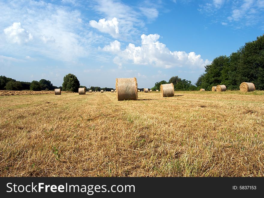 A hayfield in summer, these bales have been left in the field. Maybe stored for use as animal feed. A hayfield in summer, these bales have been left in the field. Maybe stored for use as animal feed.