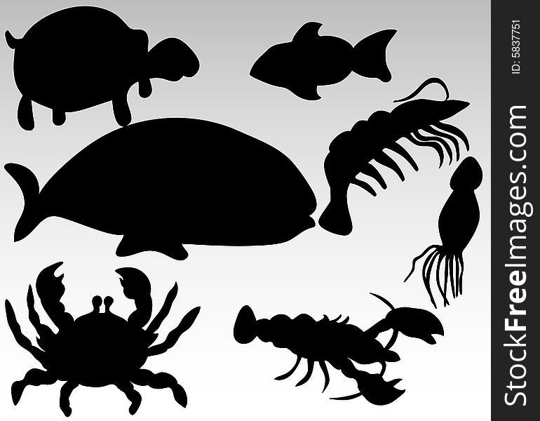 Vector illustration of a marine life