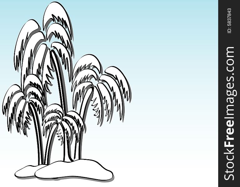 Vector illustration of a palm tree. Vector illustration of a palm tree