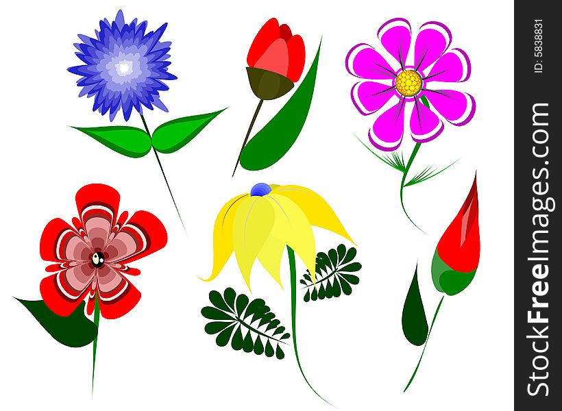 Color flowers. Nice vector picture