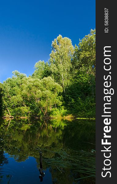 Summer landscape with river, trees and blue sky. Summer landscape with river, trees and blue sky