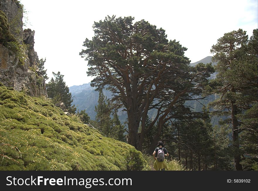 By walking through the park's natural Ordesa. By walking through the park's natural Ordesa.