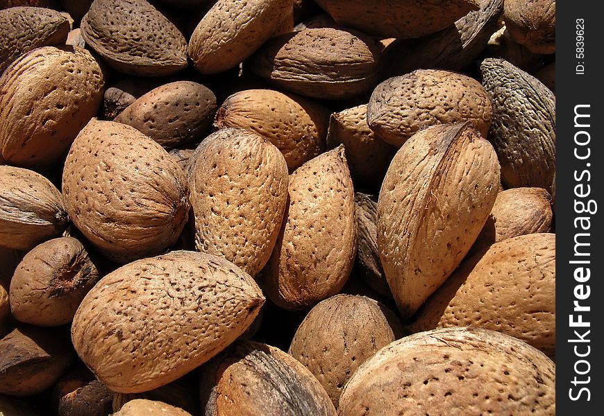 Dry almonds collected in the island of Majorca. Dry almonds collected in the island of Majorca