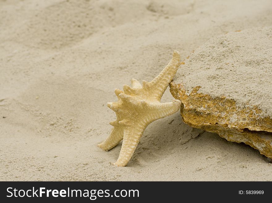 Starfish and big stone on sand. Starfish and big stone on sand