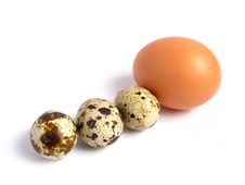 Chicken And Quail Eggs Stock Images