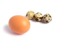 Chicken And Quail Eggs Stock Images Chicken And Quail Eggs Stock Images